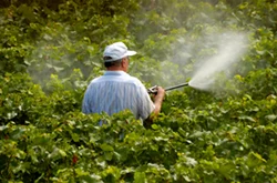 Pesticide Applying Services